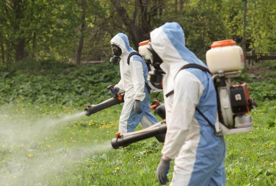 ФОТО Уничтожение клопов в Тарасовском