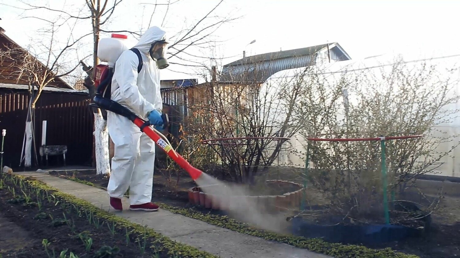 ФОТО Уничтожение муравьёв в Тарасовском
