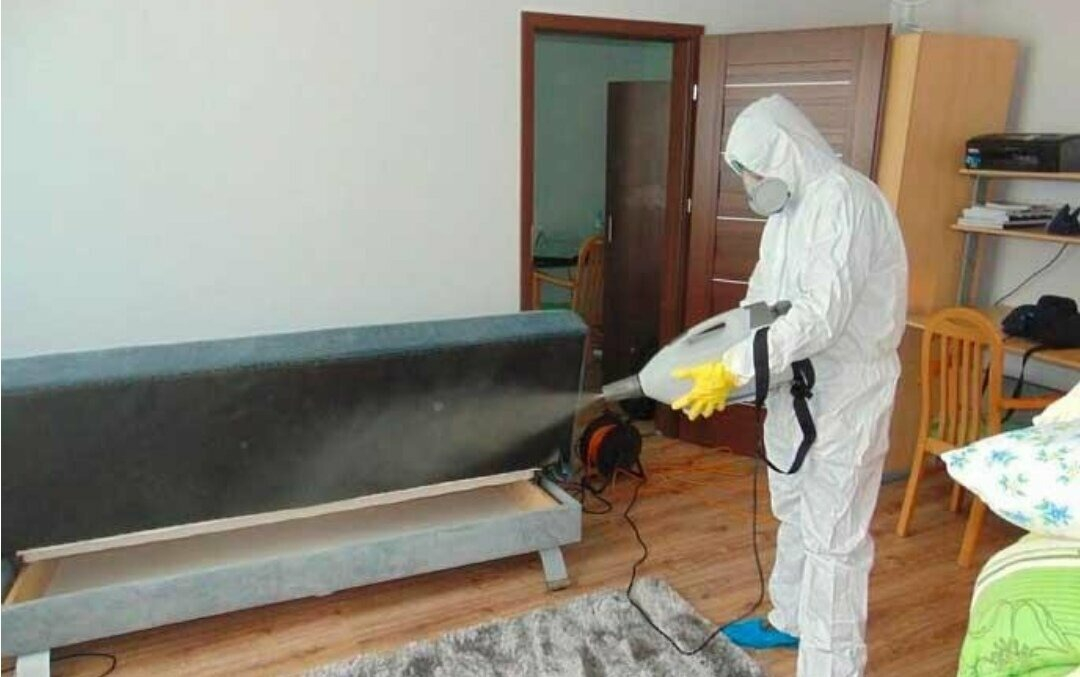 ФОТО Уничтожение блох в Тарасовском