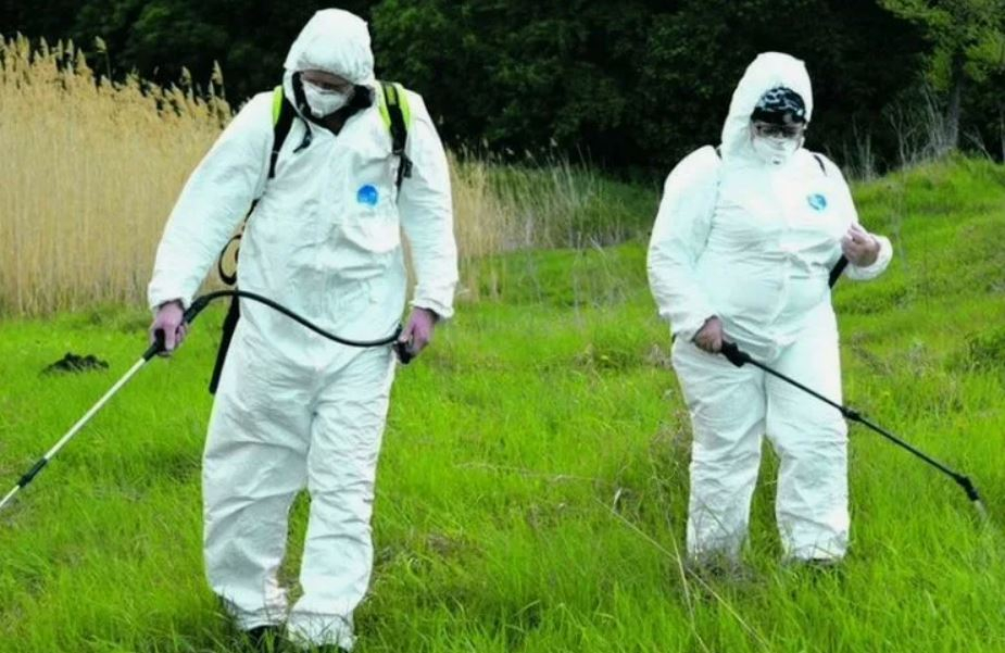 ФОТО Обработка от клещей в Тарасовском