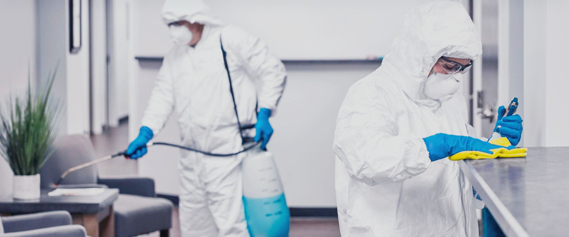 ФОТО В чем разница между дезинфекцией и дезинсекцией в Тарасовском? | подробно