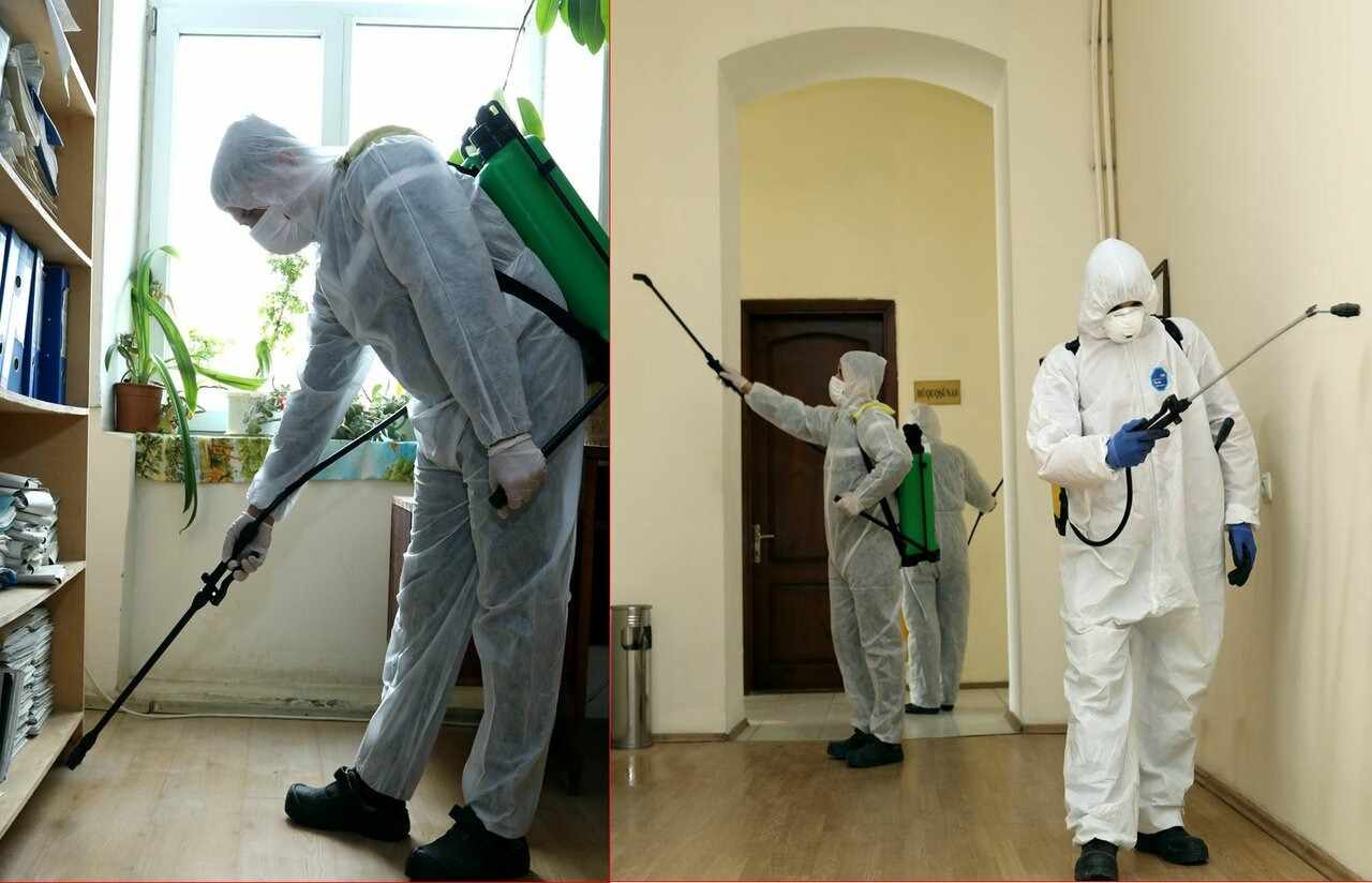 ФОТО Требуется ли лицензия для дезинсекции и дезинфекции в Тарасовском? | подробно