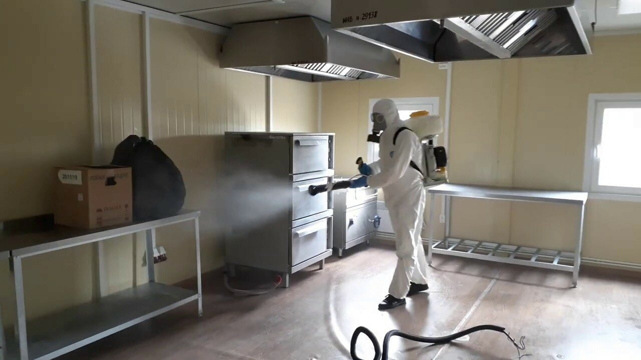 ФОТО Можно ли провести дезинсекцию самостоятельно и какие существуют риски в Тарасовском? | подробно