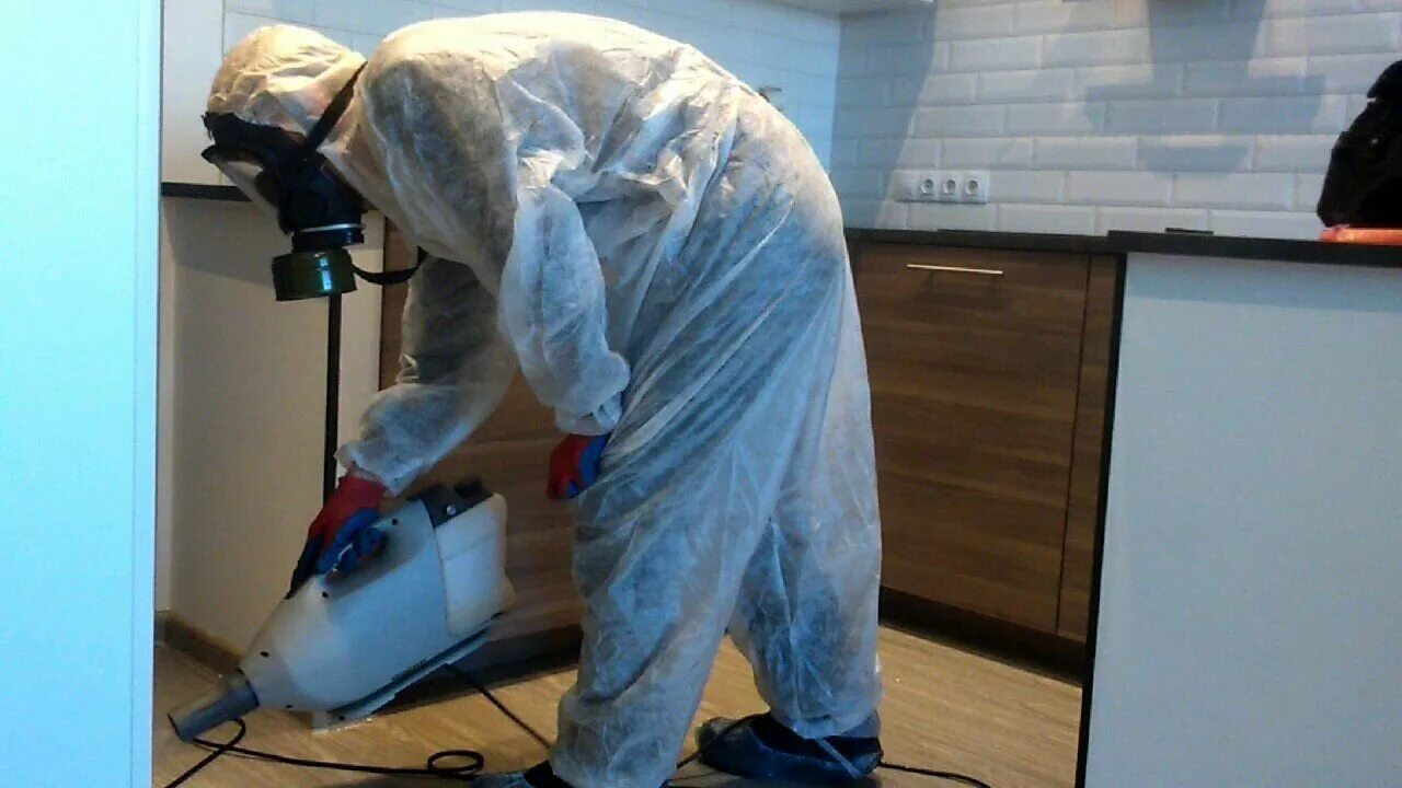 ФОТО Как подготовить домашних животных к обработке от насекомых в Тарасовском? | подробно