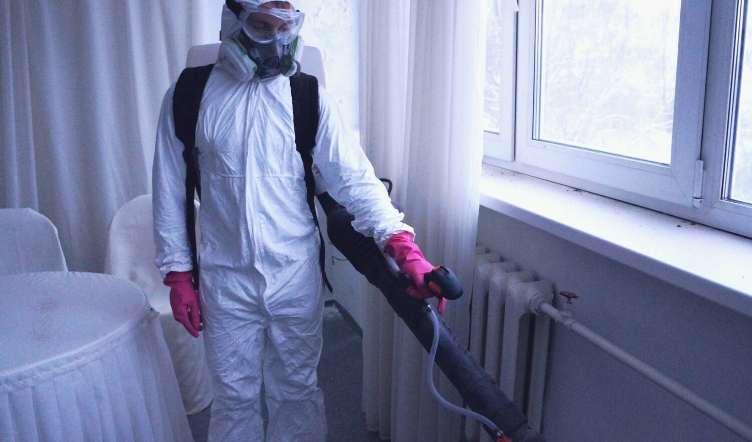 ФОТО Нужно ли выносить растения при дезинсекции в Тарасовском? | подробно