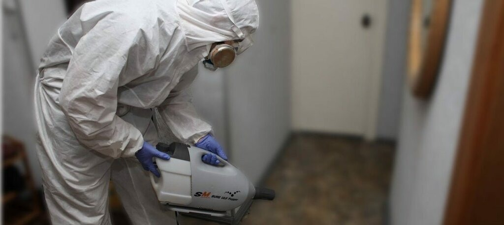 ФОТО Остаются ли следы после обработки квартиры от насекомых в Тарасовском? | подробно