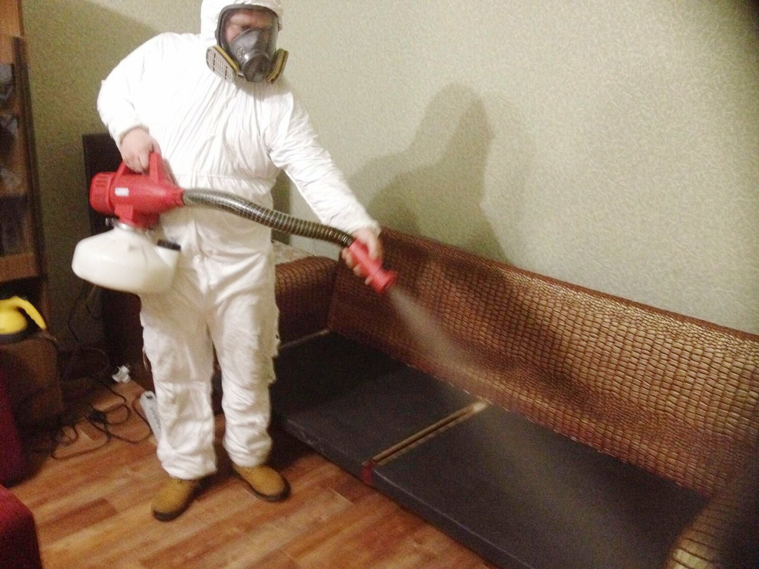 ФОТО Когда можно вернуться в помещение после дезинсекции в Тарасовском? | подробно