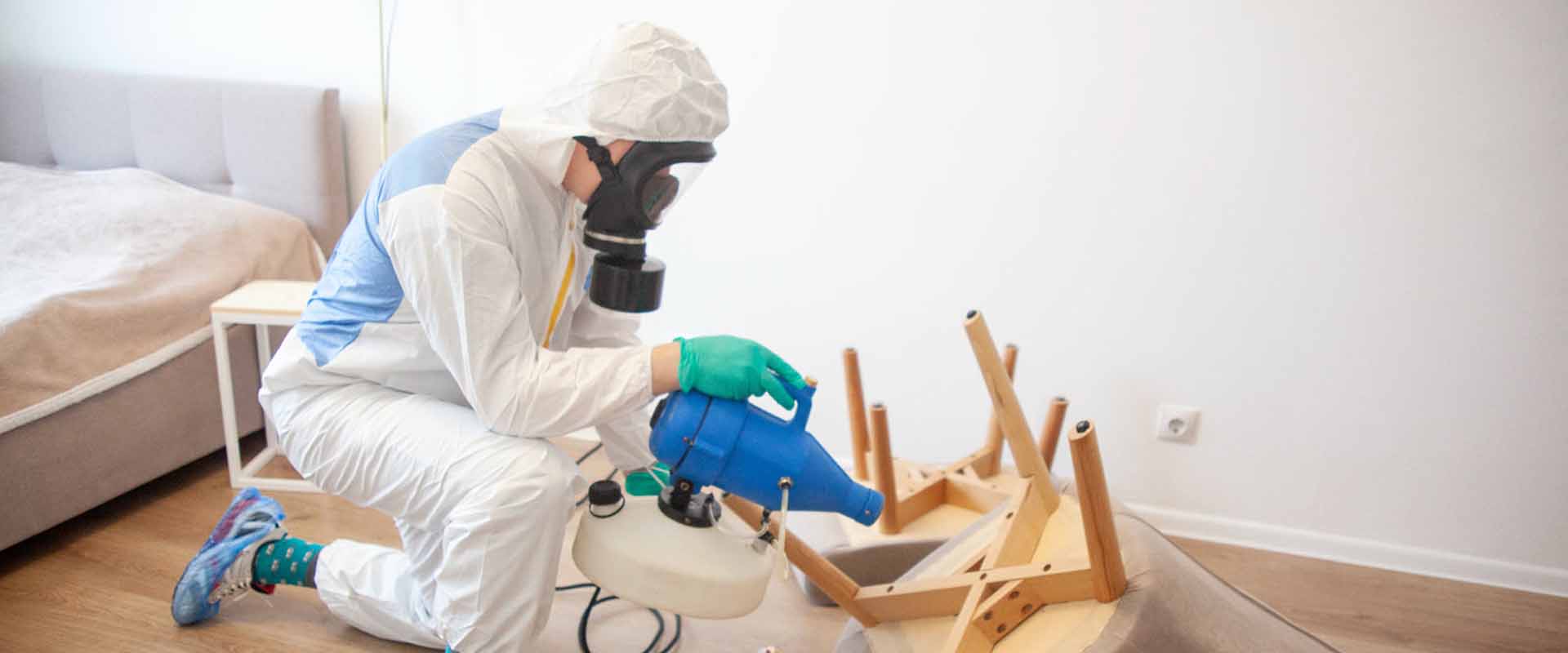 фото: Уничтожение постельных клопов с 1-го раза с гарантией за 30-60 мин. в Тарасовском без предоплаты