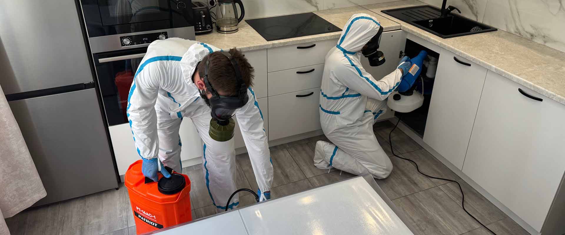 фото: Уничтожение муравьев в квартире, загородном доме или участке.