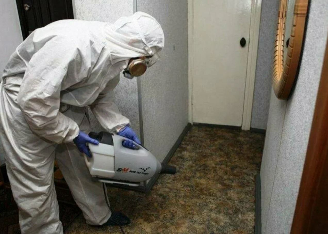 фото: Профессиональная дезинсекция в Тарасовском: <br/>+7-909-173-42-96